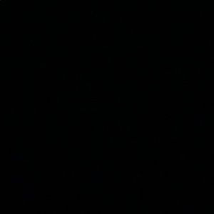 Meet your Posher, Max